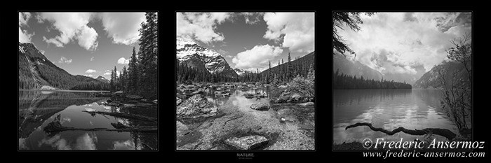 Panorama nature bw 001